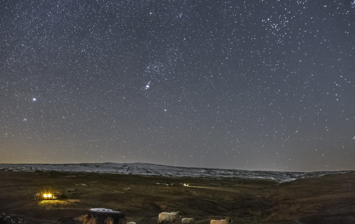 Sheep under a starry sky © Gary Lintern