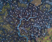 Drone image of peatland restoration site showing bags of brash, coir rolls and stone dams