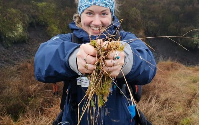 Peatland field officer Kate Cartmell-Done squeezing a clump of Sphagnum moss