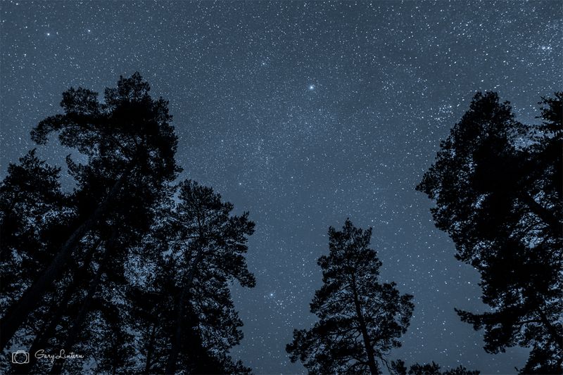 Dark skies for people and nature image