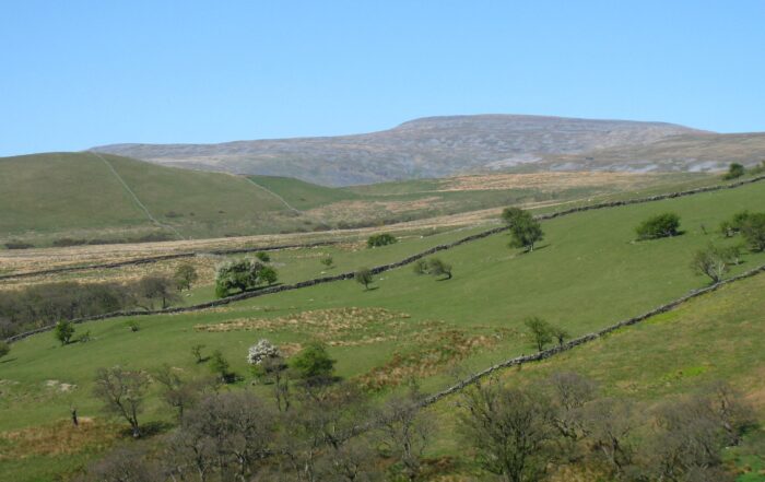 Real Cross Fell