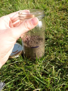 Jar with soil