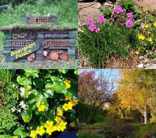 Collage of images of wildlife friendly gardens