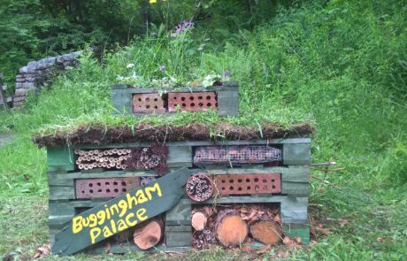 Picture of bug hotel in garden