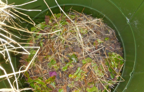 Image of inside of a compost bin