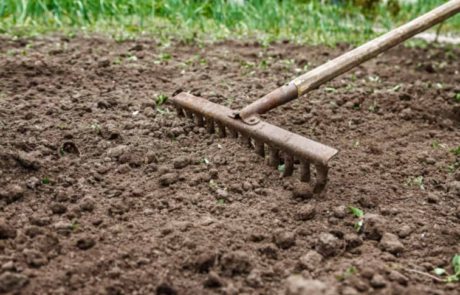 Image of soil and rake for no dig gardening system