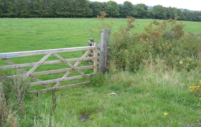 Image of hedges and a gate