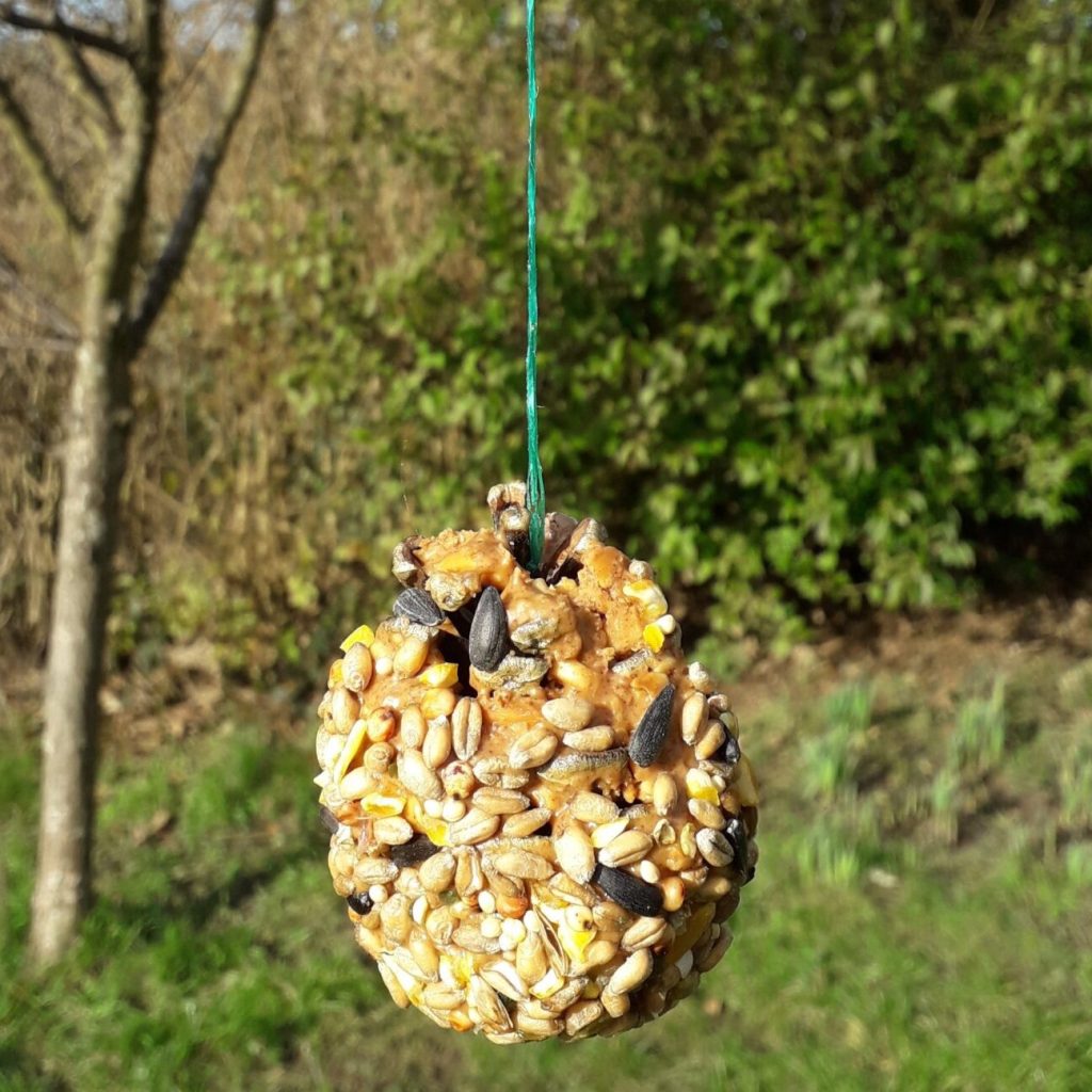 Picture of pine cone bird feeder hanging in front of a tree