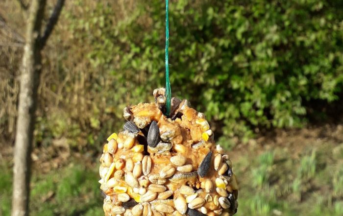 Picture of pine cone bird feeder hanging in front of a tree