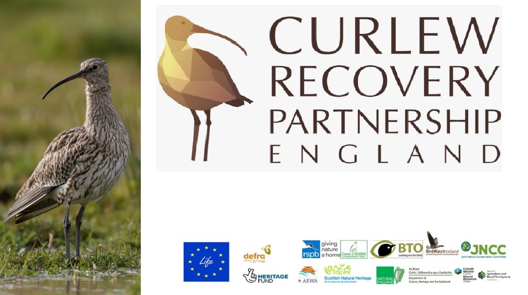Montage of logos for partners and funders of the Curlew Life project