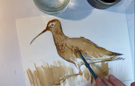Image of hands, paper and pencil drawing a curlew