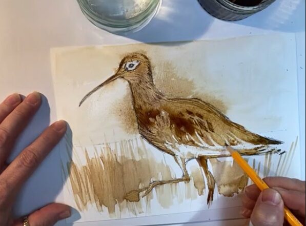 Image of hands, paper and pencil drawing a curlew
