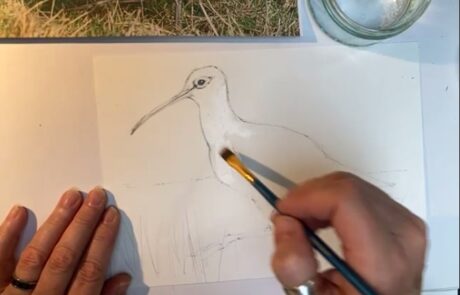 Image of hands, paper and pencil drawing a curlew