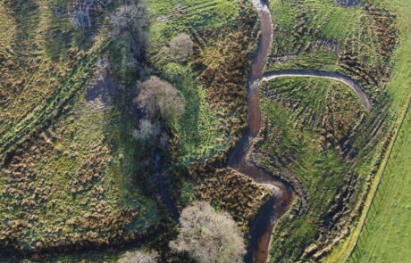 Aerial photograph of rewiggled river with trees showing course of straightened river