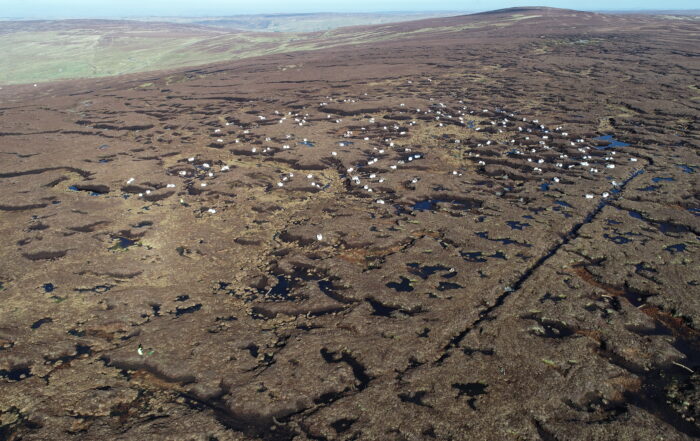 Photo of peatlands