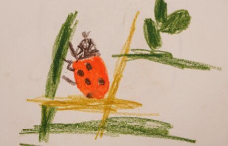 Image of a drawing of a ladybird on grass