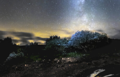 Low Force stargazing (c) Gary Lintern