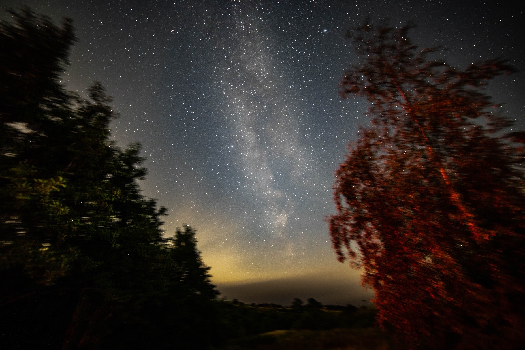 Image of night sky with the milky way and stars with the silhouette of trees