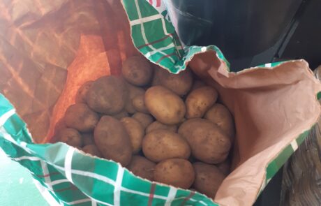 Photo of a bag of potatoes covered in soil