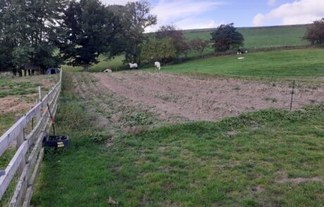 Image of field with fence along side ready for hedge planting