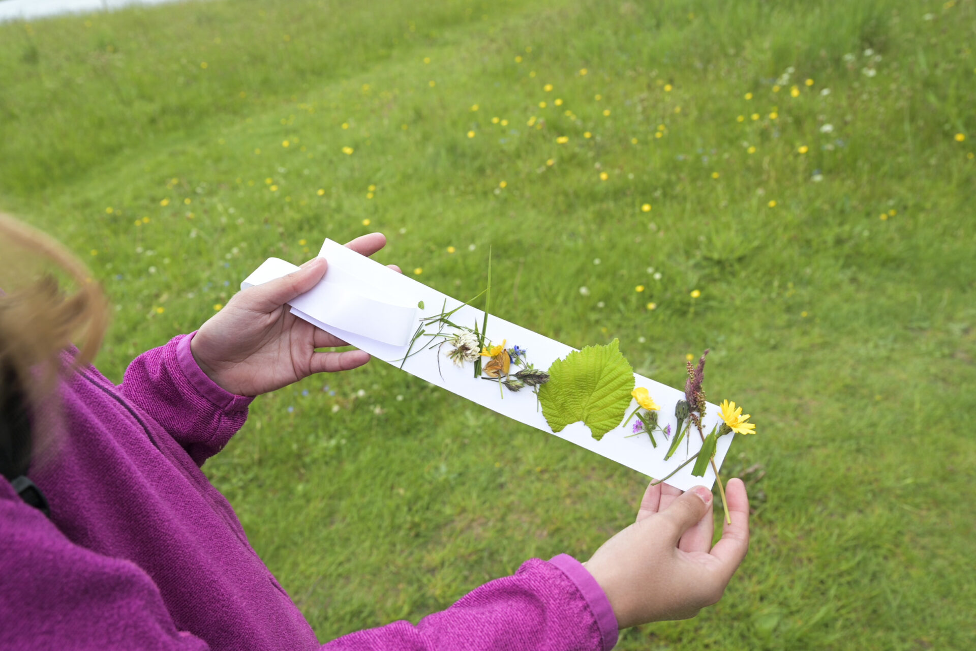 Photograph of childs hand holding a strip of paper with laves and flowers stuck to it