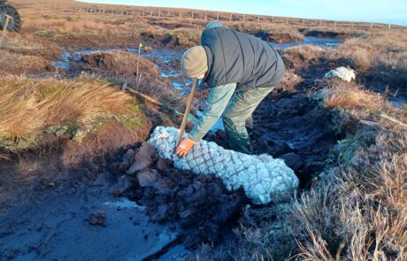 Photo of person putting a roll of sheep wool into a gap in a peat bog to stop the flow of water
