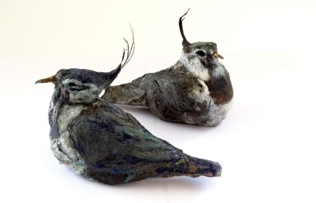 Photograph of two ceramic lapwing