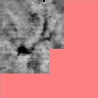Black and white photo of field survey image with pink cololur blocking part of image