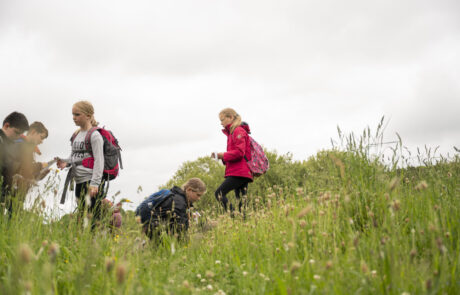 Photo of people in a meadow standing and crouching looking for insects