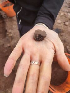 Photograph of hand outstretched, palm upwards with fragment found at archaeological dig on it