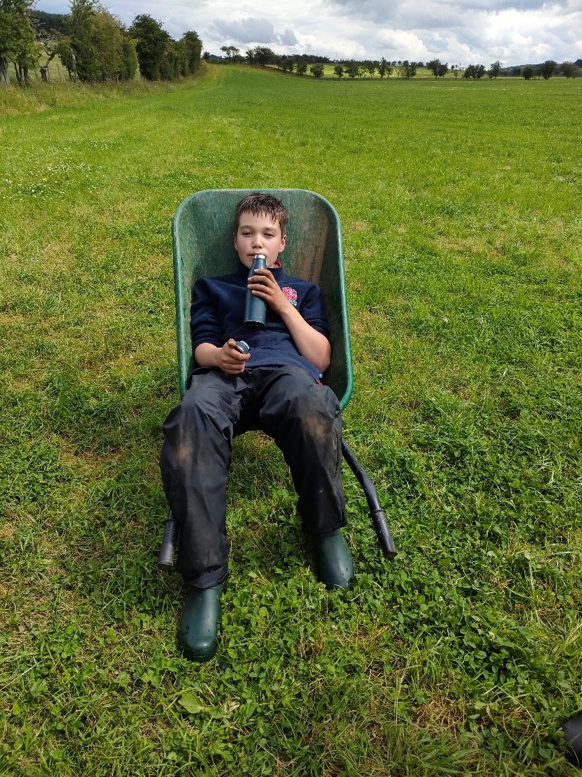 A boy is sitting in a wheelbarrow in the middle of a grassy field. He is holding a water bottle up to his mouth. 