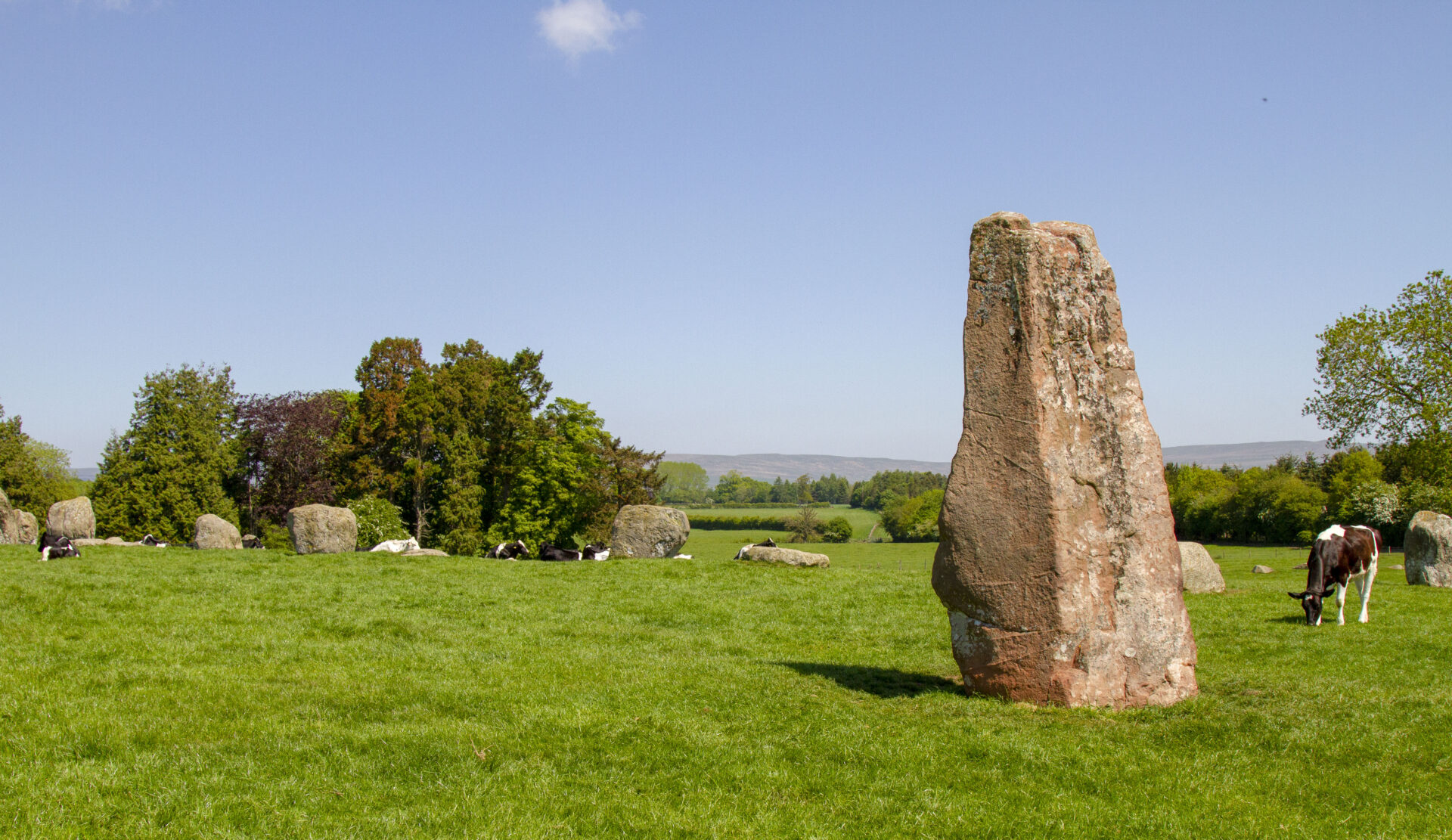 The image shows a grassy field with Long Meg, a red sandstone rock, in the foreground and blue sky above. In the background there are more stones and cows. In the distance there are trees.