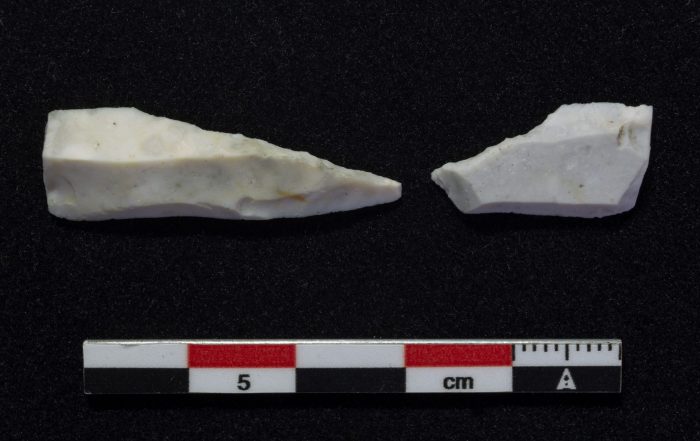 Flint microliths