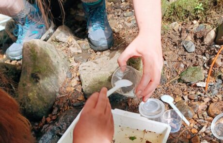 A white tray of river water with children's hands moving something from the tray to a jar using a plastic spoon