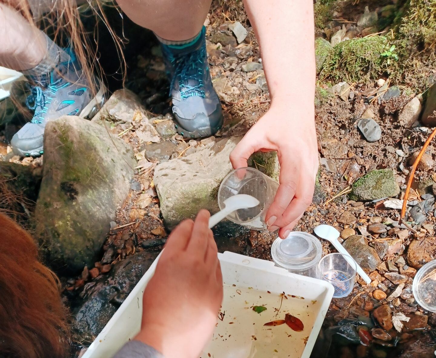 A white tray of river water with children's hands moving something from the tray to a jar using a plastic spoon