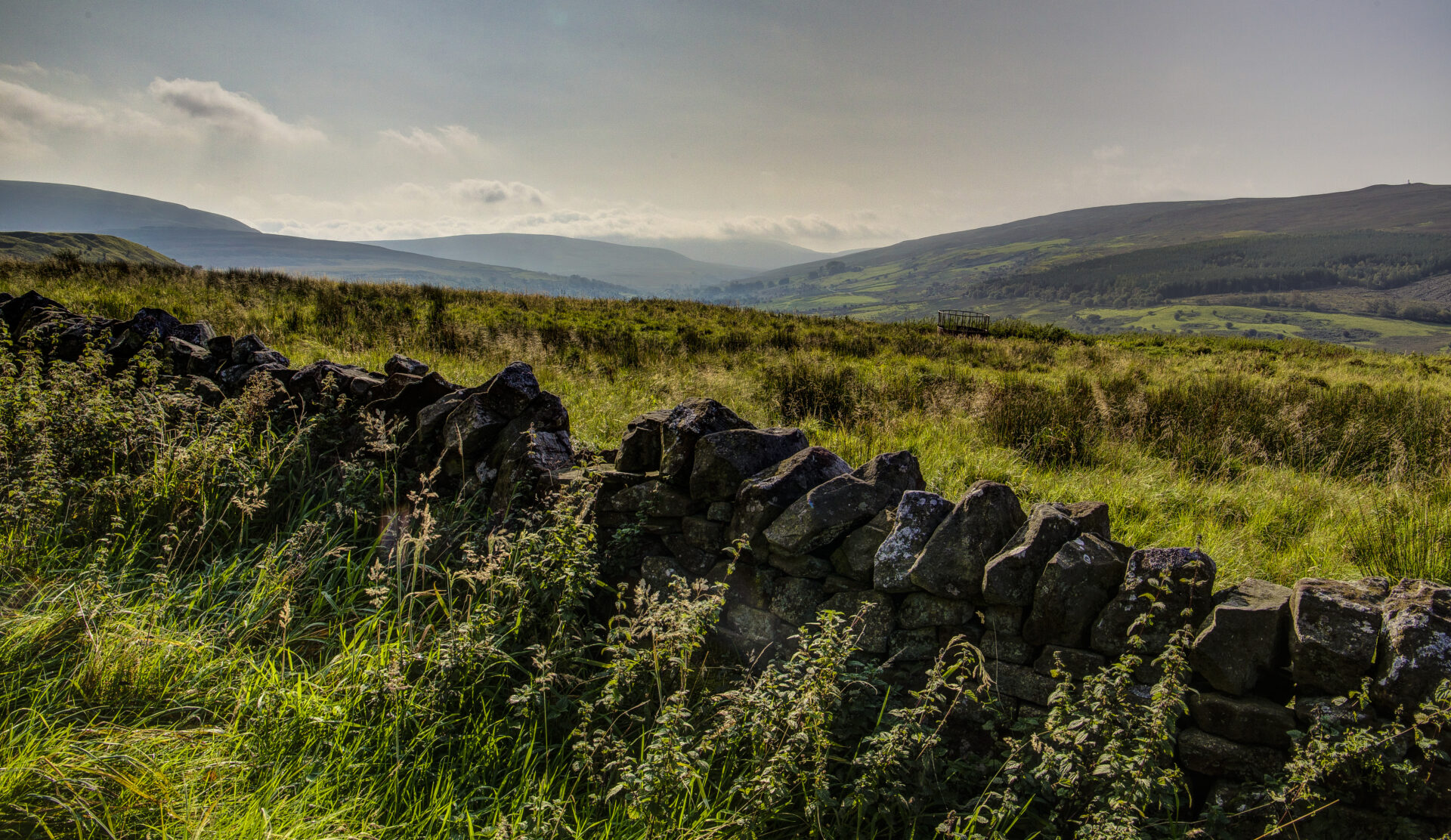 High Level Walk Geltsdale high level walk – North Pennines National Landscape