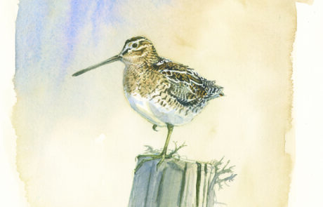 Painting of a snipe on a wooden post