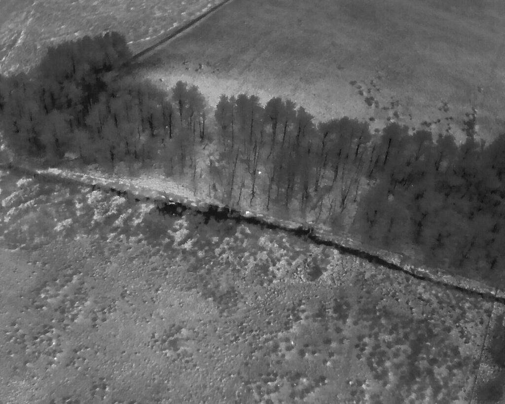 Infrared drone image of deer in the North Pennines.