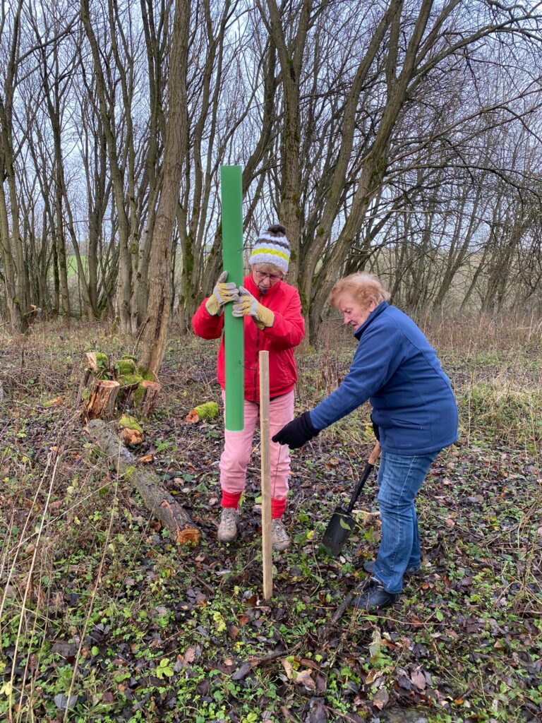 Two woman installing a tree guard at Harehope Quarry. Dressed for the winter.
