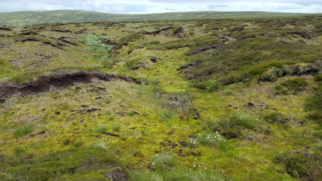 Carbon storage image