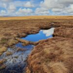 Coir roll across pool of water at Valance Lodge Coir roll across pool of water on peatland at Valance Lodge in Teesdale