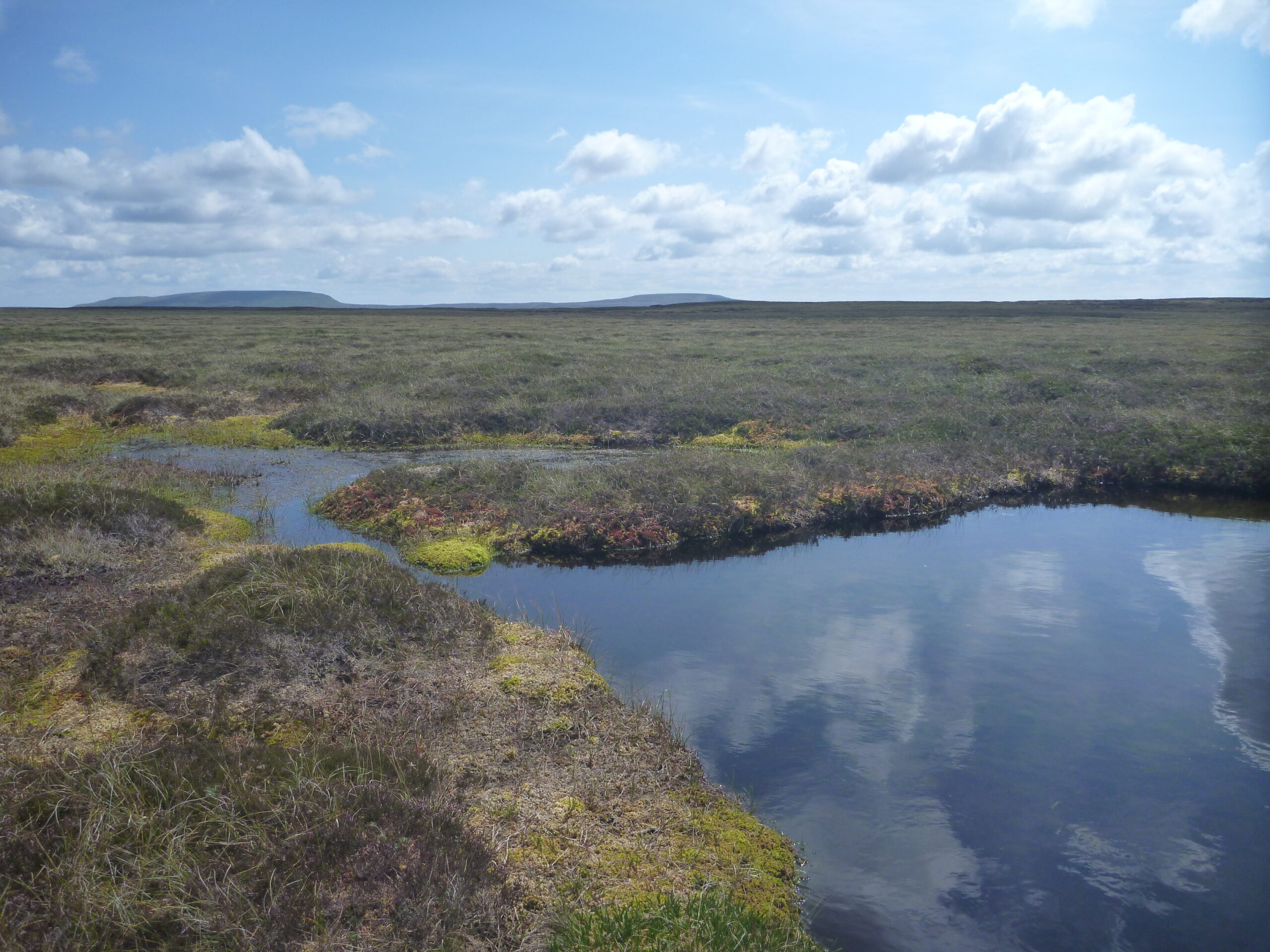 Pools of water next to sphagnum on peatland in Dufton, Cumbria