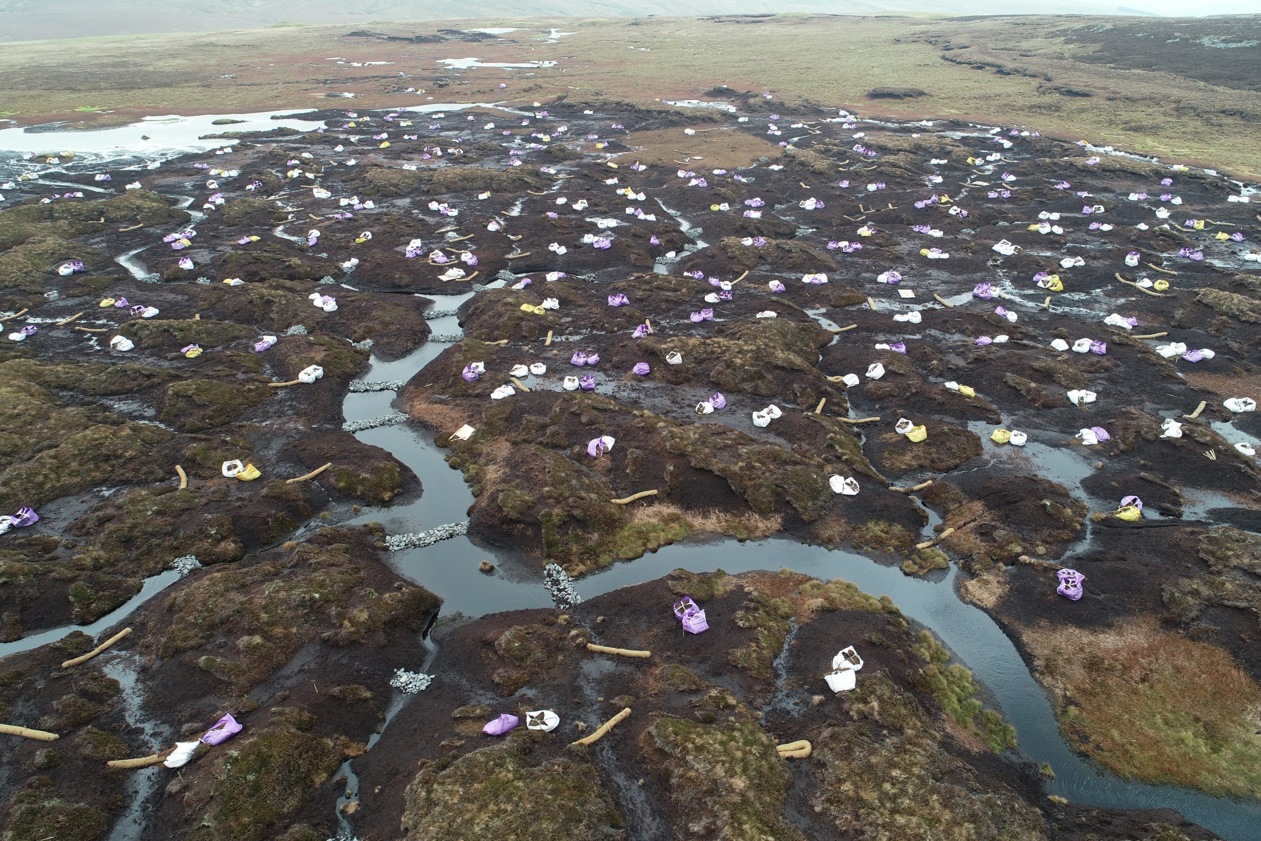 Stone dams across water channel and bags of brash on a North Pennines peatland.