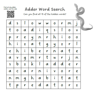 Picture of a wordsearch