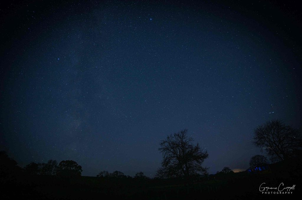 Blueish grey sky full of stars. Black trees on bottom.