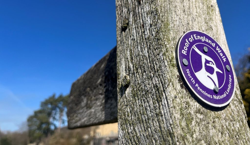 Review of 2025 image