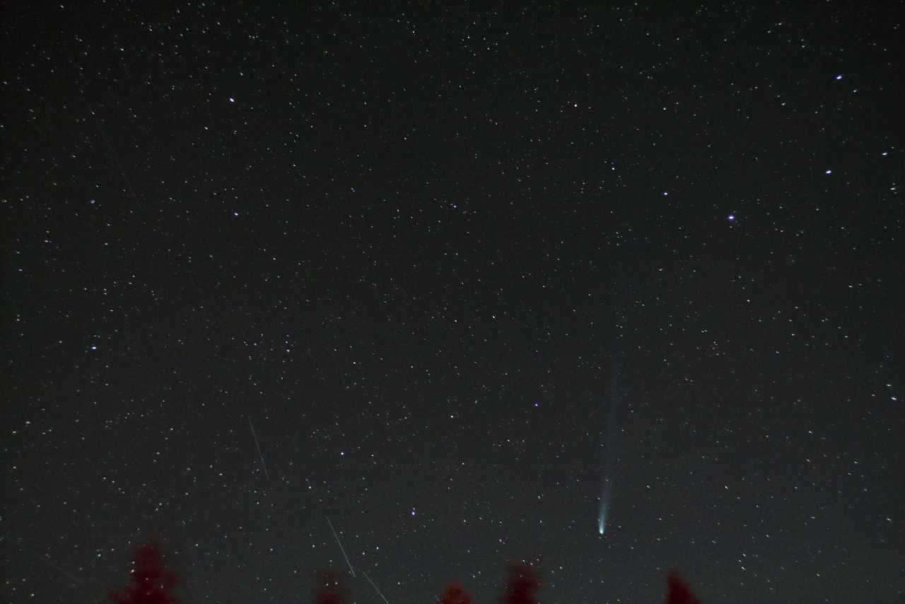 Commet Lemmon, Jurgen Schmoll