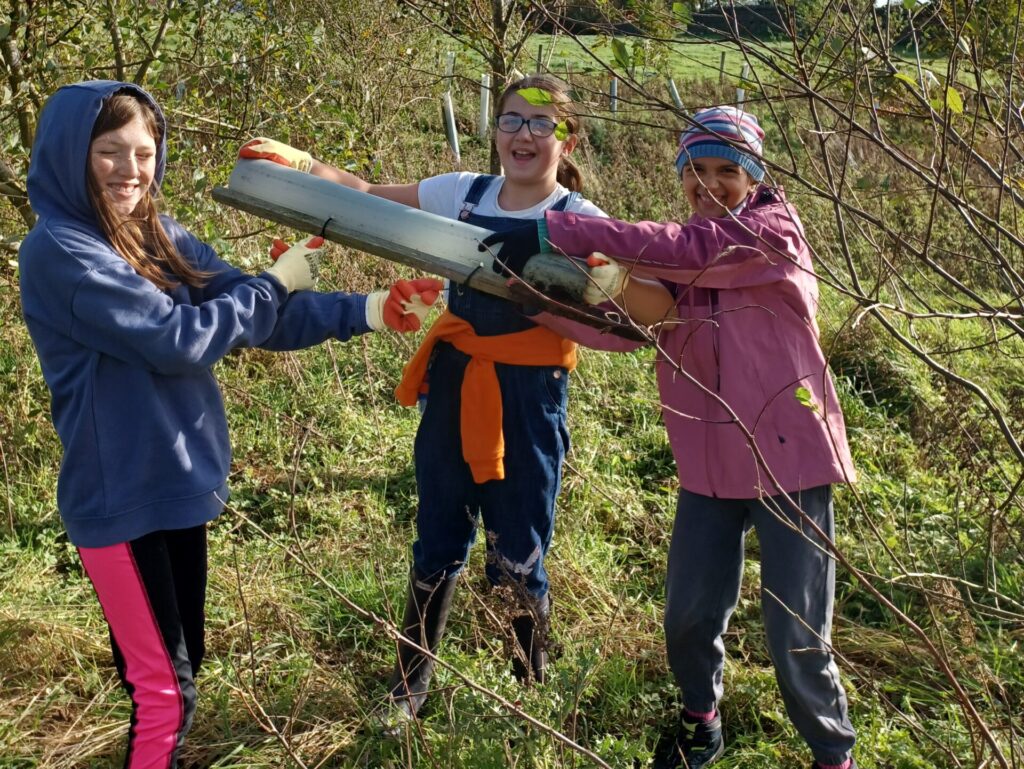 Winter volunteer newsletter image