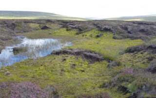 Revegetated peatland in the North Pennines. Bog pool on the left. Some heather.