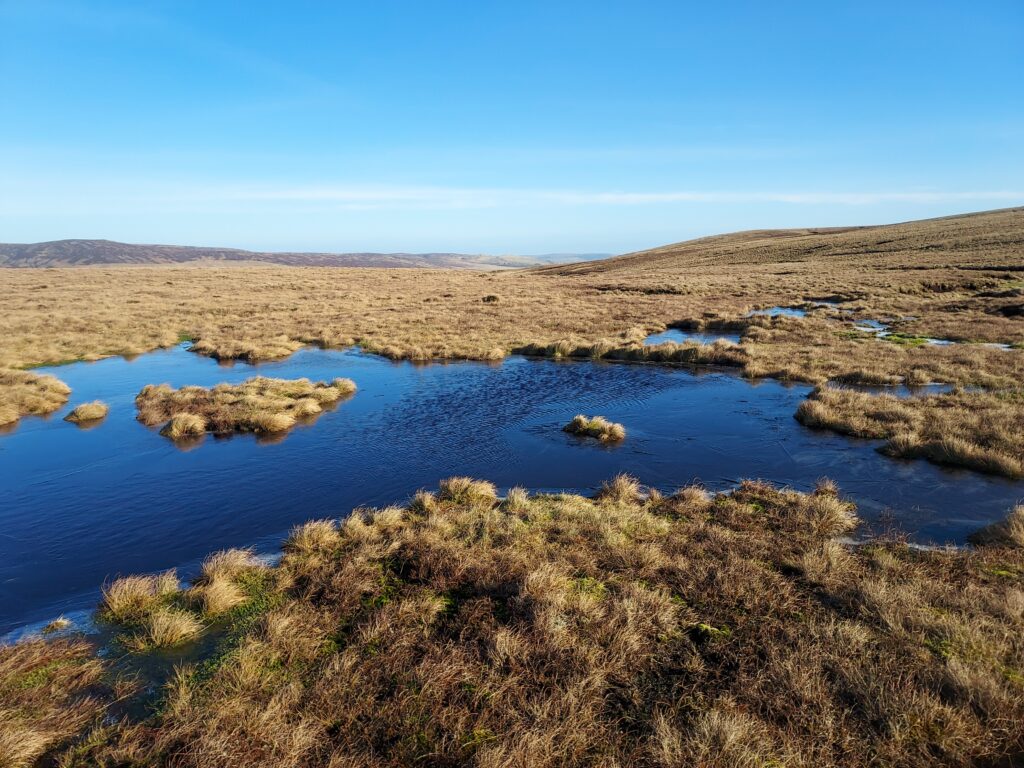 North Pennines peatland funding from German environmental association image
